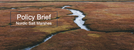 Policy Brief Nordic Salt Marshes