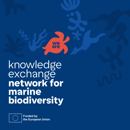 knowledge exchange network for marine biodiversity logo - navy blue background, red turtle overlay