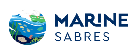 Marine Sabres