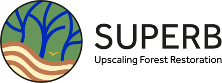 SUPERB logo with strapline: Upscaling Forest Restoration