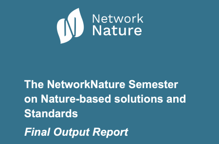 network nature semester and standards