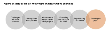 State-of-the-art knowledge of nature-based solutions