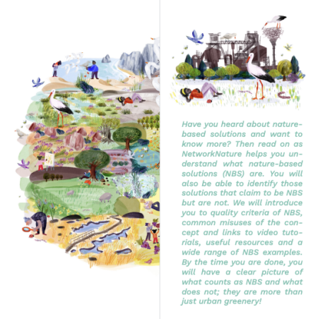 nn brochure page 1