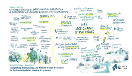 mapping nature-based solutions