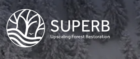 Superb logo