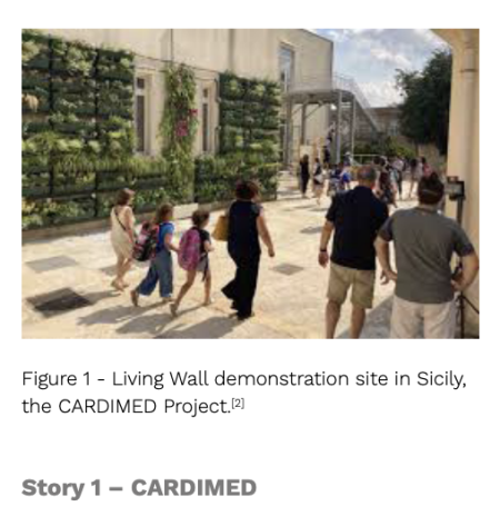 story 1 - cardimed