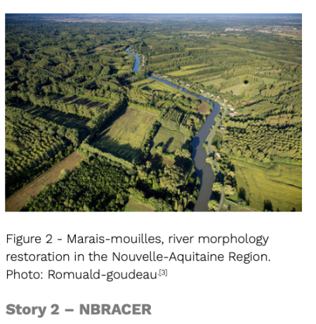 story 2 - NBRACER