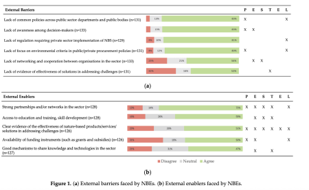 Figure 1. (a) External barriers faced by NBEs. (b) External enablers faced by NBEs.