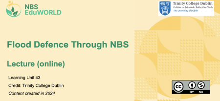 flood defence through NBS