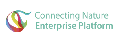 CNEP logo - blue, pink, green, and yellow swirls