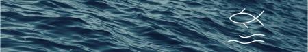 sea water with fish outline on the right hand side underlined with two wavy lines, all in white