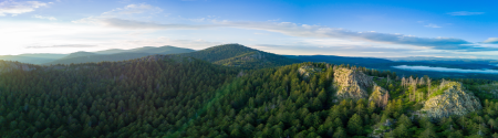 Tree covered mountain range
