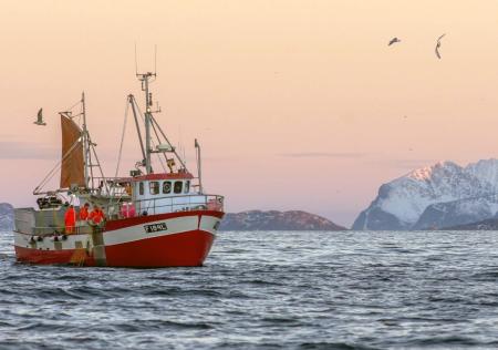 Forside: Torskefiske utenfor Kvaløya i Troms. Foto: Bo Eide