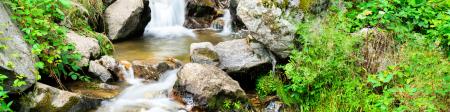 black forest mountain landscape