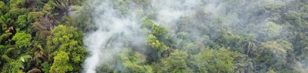 fire in mountain