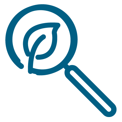 Search