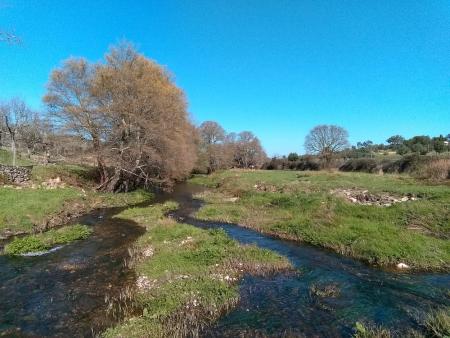 portuguese countryside - streams running through green fields with trees and blue sky