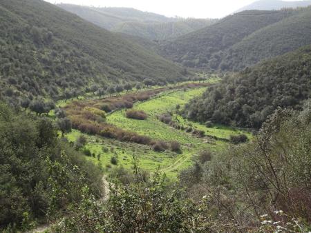 valley - portuguese countryside