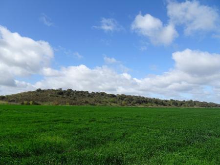cloudy sky - green hill