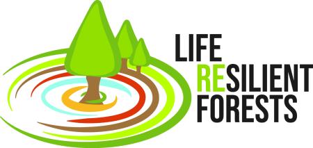 life resilient forests logo - green trees inside circle