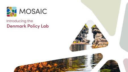 danish policy lab