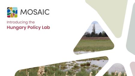 introducing the hungarian policy lab - mosaic