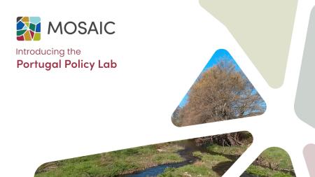 portugal policy lab mosaic thumbnail