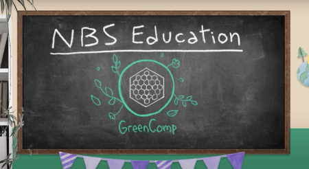 NBS Education