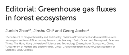 Greenhouse gas fluxes in forest ecosystems - paper title