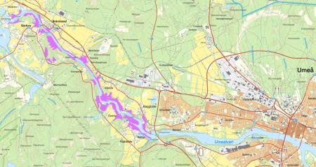 Restoration areas in Ume Älvdal (in Purple)