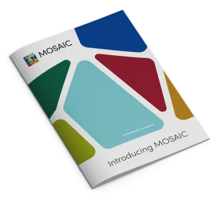 mosaic briefing pack 
