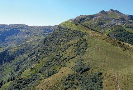 swiss alps - mountain top - greenery