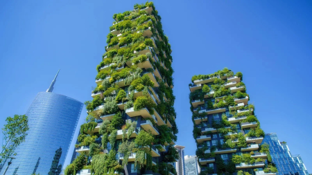 green fronted sky scrapers