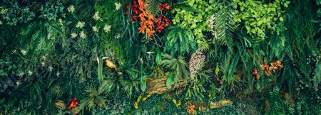 nature-based solutions