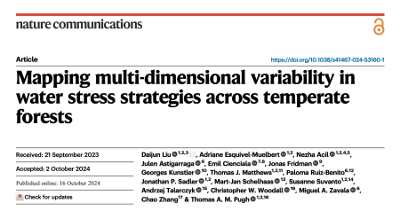 mapping multi dimensional variability in water stress strategies across temperate forests