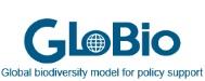 globio logo