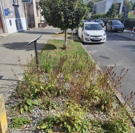 University Campus RG