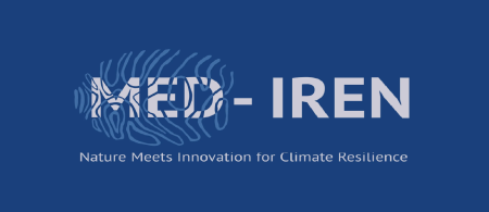 MED-IREN logo - thumbprint shape over white background with navy blue text