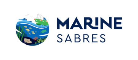Marine Sabres logo - circle with cross section of sea and land