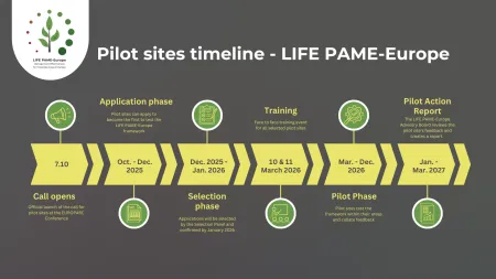 pilot sites timeline