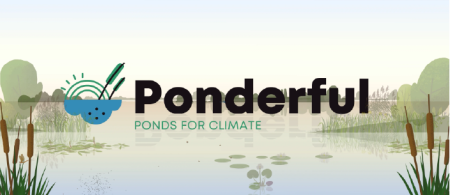 Ponderful logo 