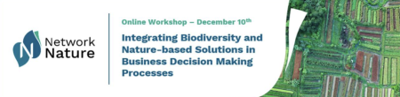 Integrating biodiversity and nature-based solutions into business decision making processes