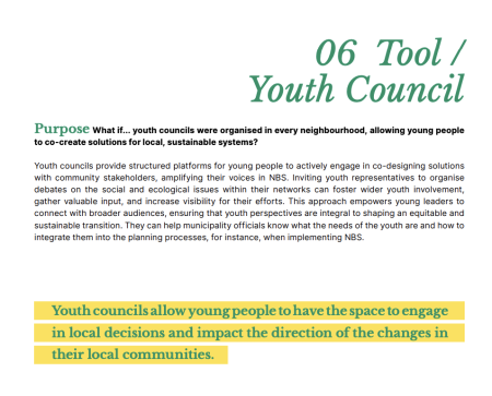 youth tool kit tool example - youth council - expert from toolkit