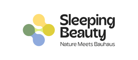 sleeping beauty logo 