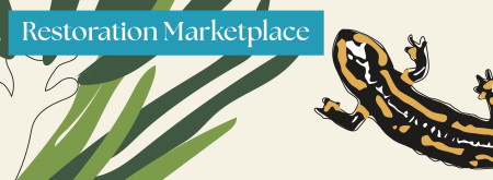 restoration marketplace banner - gecko and green plant on cream background