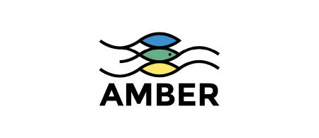 amber logo - 3 fish - one yellow, one green, and one blue