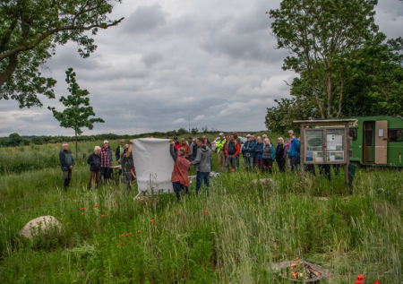 field of green with people gathered. grey skies