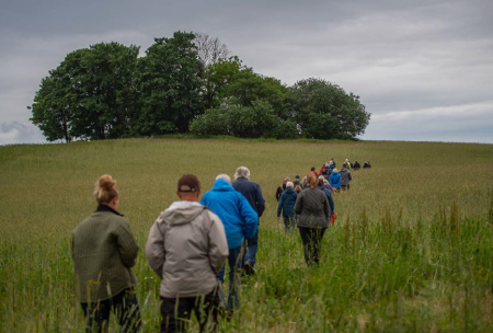 people walking through green field towards dark green tree with grey clouds