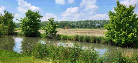 Photo from Giulio Natta Innovation Center, view to a field