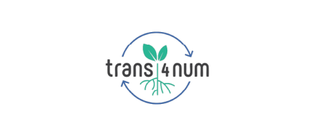 trans4num logo - plant growing - roots showing - circle with arrows around